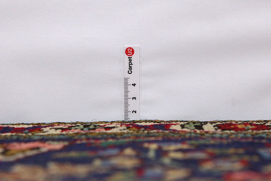 Jozan - Sarouk Tappeto Persiano 300x205 - Immagine 7