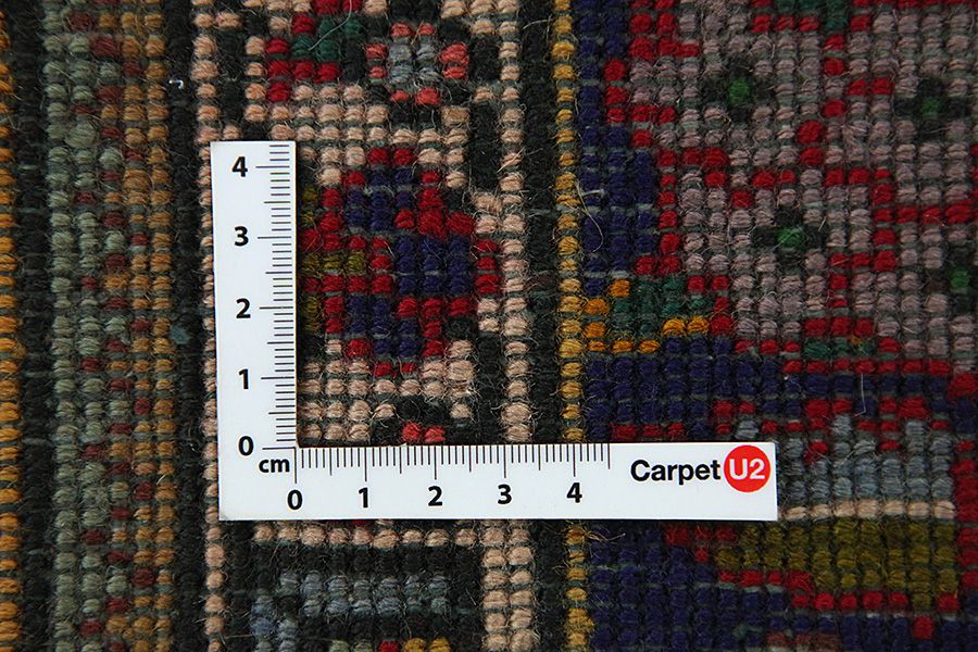 Jozan - Sarouk Tappeto Persiano 305x200 - Immagine 3
