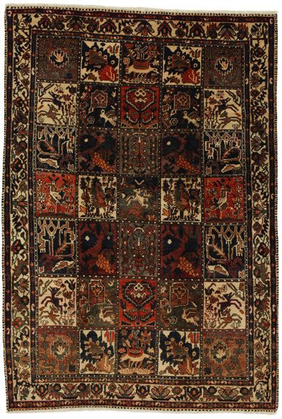 Bakhtiari Tappeto Persiano 229x156