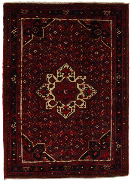 Borchalou - Hamadan Tappeto Persiano 218x157