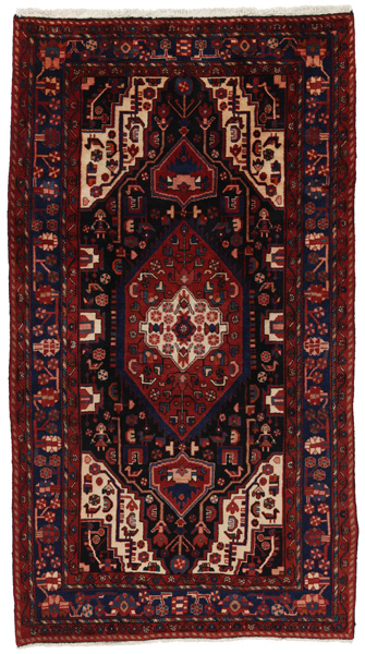 Nahavand - Hamadan Tappeto Persiano 305x169