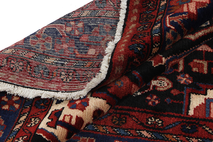 Nahavand - Hamadan Tappeto Persiano 305x169 - Immagine 6