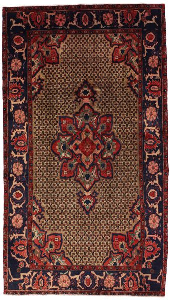 Songhor Tappeto Persiano 273x152