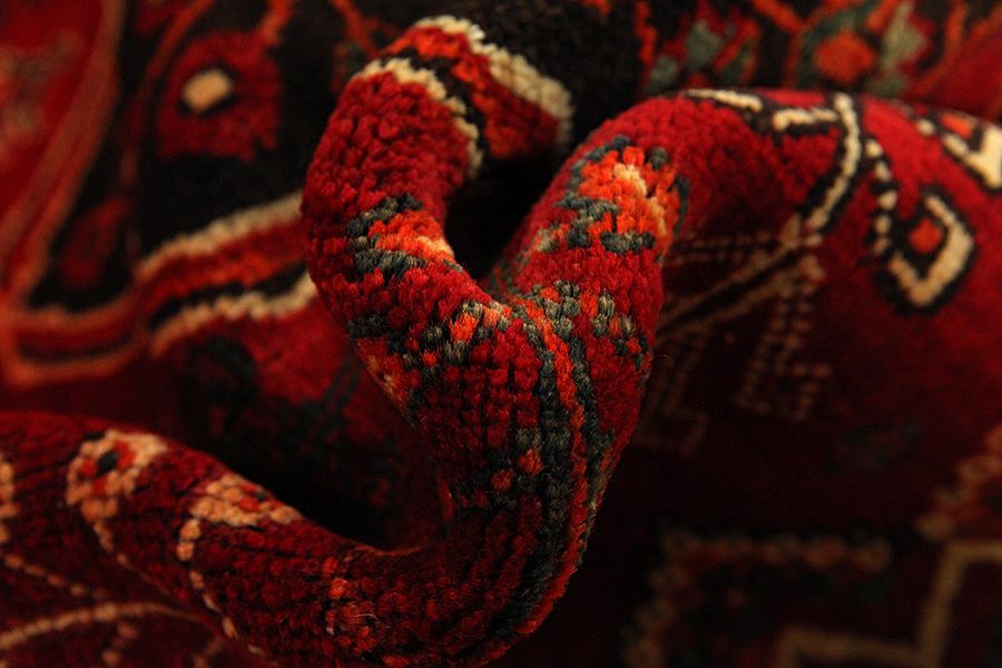Qashqai - Shiraz Tappeto Persiano 243x154 - Immagine 6