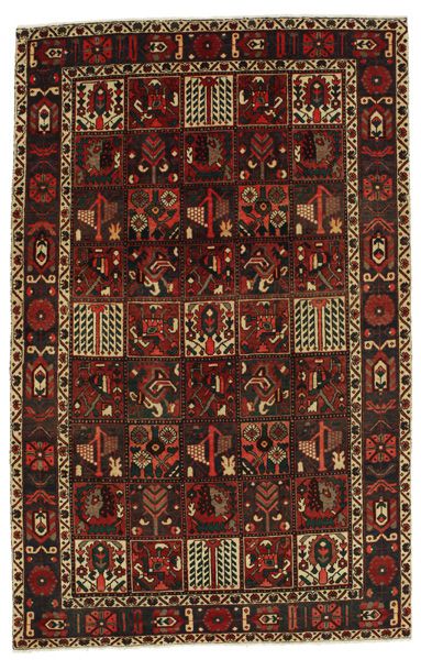 Bakhtiari - Garden