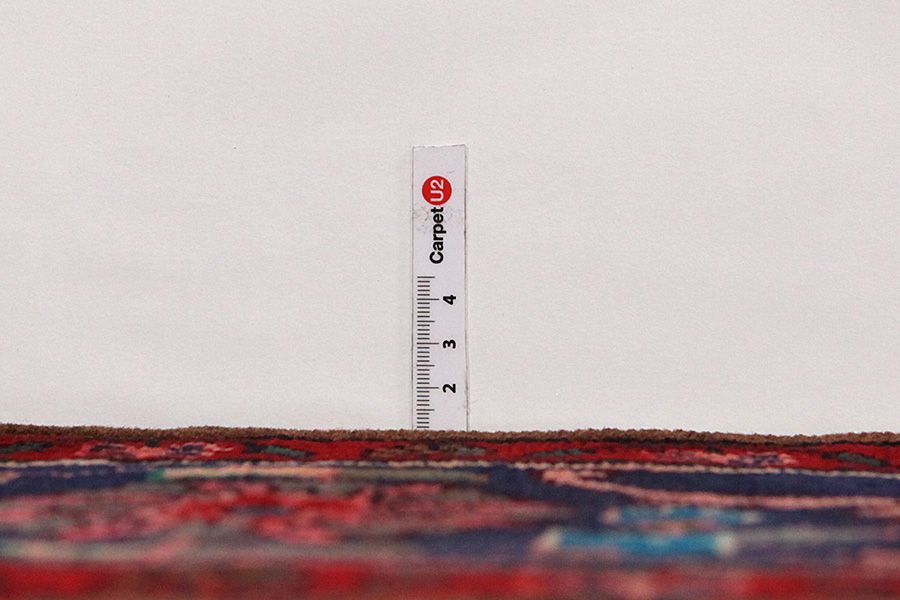 Songhor - Koliai Tappeto Persiano 305x153 - Immagine 7