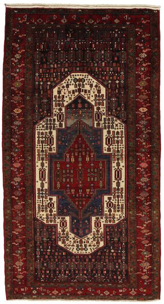 Tuyserkan - Hamadan Tappeto Persiano 300x160