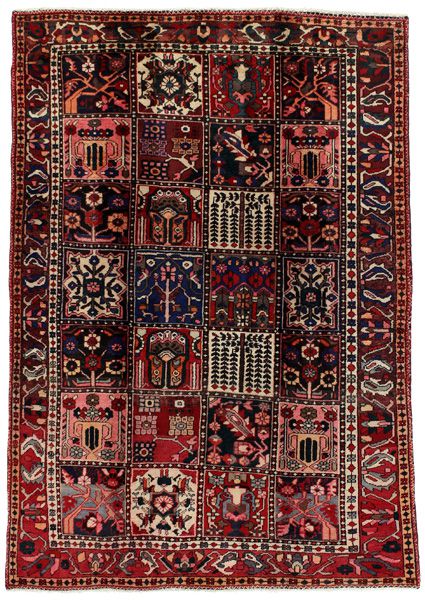 Bakhtiari Tappeto Persiano 223x157