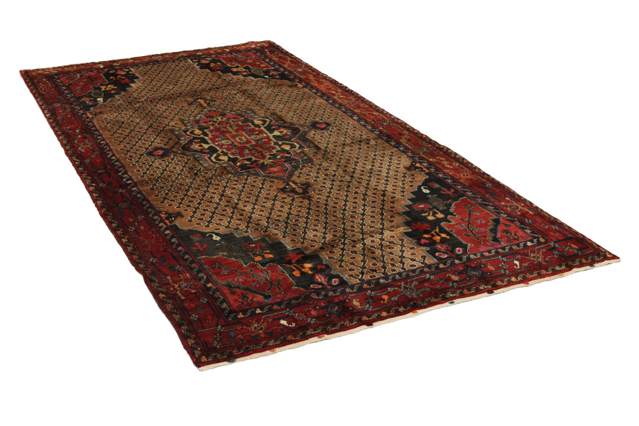 Songhor - Koliai Tappeto Persiano 322x159 - Immagine 1