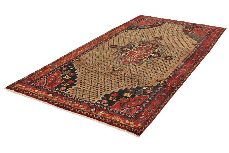 Songhor - Koliai Tappeto Persiano 322x159 - Immagine 2