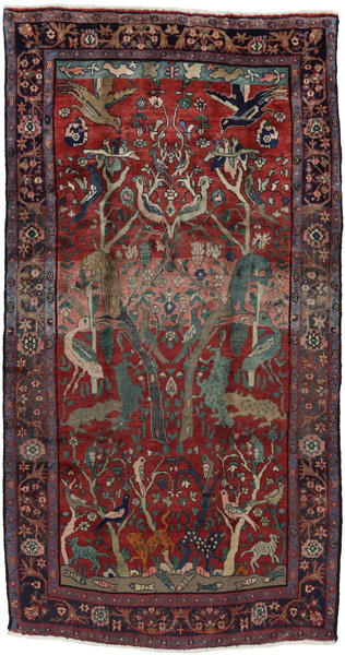 Sarouk Tappeto Persiano 288x151