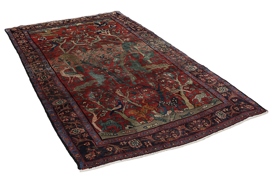 Sarouk Tappeto Persiano 288x151 - Immagine 1