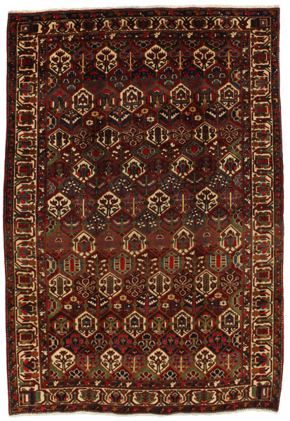 Bakhtiari Tappeto Persiano 312x212