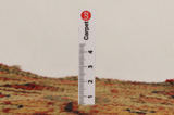 Borchalou - old Tappeto Persiano 227x112 - Immagine 10