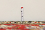 Sarouk - Farahan Tappeto Persiano 355x245 - Immagine 8