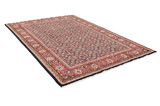 Bijar - Kurdi Tappeto Persiano 325x218 - Immagine 1