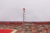 Senneh - Kurdi Tappeto Persiano 387x93 - Immagine 8