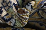 Kashan Tappeto Persiano 390x290 - Immagine 7
