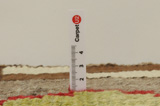 Gabbeh - Qashqai Tappeto Persiano 255x125 - Immagine 8
