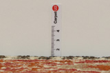 Gabbeh - Bakhtiari Tappeto Persiano 272x144 - Immagine 8