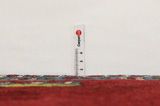 Kashkooli - Gabbeh Tappeto Persiano 166x105 - Immagine 8