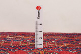 Yomut - Bukara Tappeto Persiano 127x121 - Immagine 8