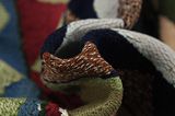 Qashqai - Kilim 257x152 - Immagine 7