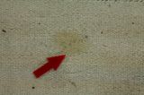 Kilim Fars - Qashqai 340x116 - Immagine 17