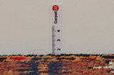 Bakhtiari - Gabbeh Tappeto Persiano 344x127 - Immagine 8