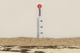 Mir Tappeto Persiano 231x142 - Immagine 8