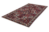 Bakhtiari - Garden Tappeto Persiano 303x171 - Immagine 2