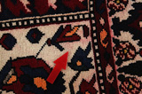 Bakhtiari - Garden Tappeto Persiano 303x171 - Immagine 17