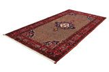 Songhor - Koliai Tappeto Persiano 305x156 - Immagine 2