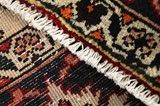 Jozan - Sarouk Tappeto Persiano 305x210 - Immagine 6