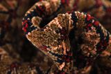Songhor - Koliai Tappeto Persiano 309x160 - Immagine 7