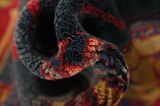 Nahavand - Hamadan Tappeto Persiano 248x155 - Immagine 7