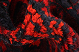 Lori - Bakhtiari Tappeto Persiano 209x186 - Immagine 8