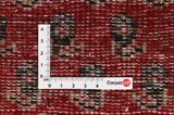 Mir - Sarouk Tappeto Persiano 280x156 - Immagine 4