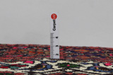 Gholtogh - Sarouk Tappeto Persiano 223x127 - Immagine 10