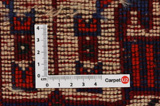 Qashqai - Shiraz Tappeto Persiano 245x160 - Immagine 4