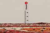 Jozan - Sarouk Tappeto Persiano 270x150 - Immagine 10