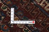Qashqai - Shiraz Tappeto Persiano 310x160 - Immagine 4