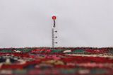 Bijar - Kurdi Tappeto Persiano 308x155 - Immagine 8